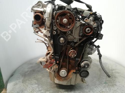 Engine RENAULT KANGOO / GRAND KANGOO II (KW0/1_)  | BP28191552M1 