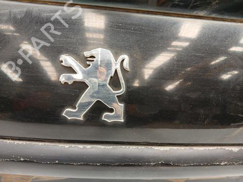 Tailgate PEUGEOT 206 Hatchback (2A/C) 1.4 LPG | BP29340516C6 