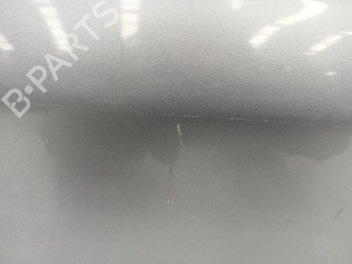 Tailgate OPEL MERIVA A MPV (X03)  | BP24653296C6 