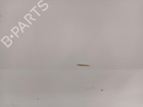 Left front door DS DS 4 / DS 4 CROSSBACK (NX_)  | BP27613831C2 