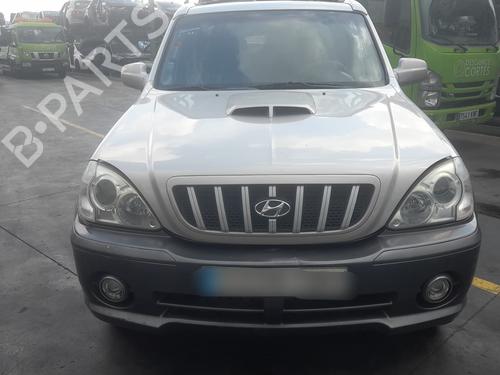 Left front door HYUNDAI TERRACAN (HP)  | BP13489515C2 