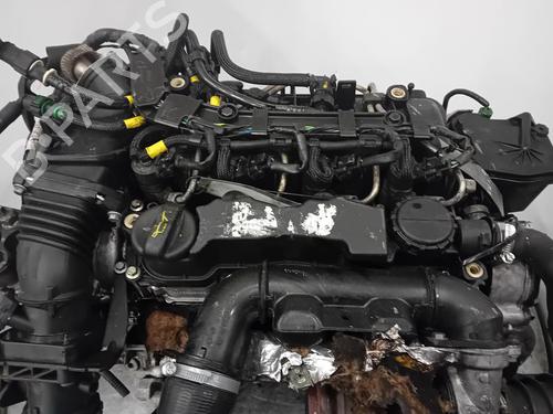 Used Engine FORD FOCUS C-MAX (DM2) [2003-2007]  31307426