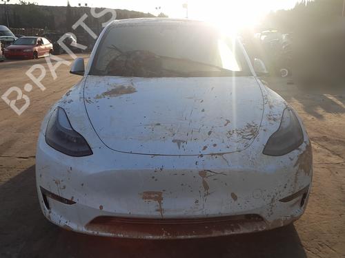 Brugte TESLA MODEL Y (5YJY) [2019-2025]  4310318