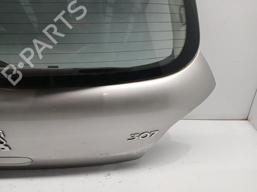 Tailgate PEUGEOT 307 (3A/C)  | BP29810824C6 