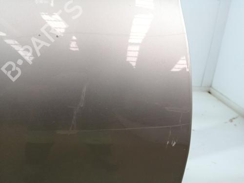 Right front door RENAULT MEGANE II (BM0/1_, CM0/1_) 1.9 dCi | BP28099048C3 