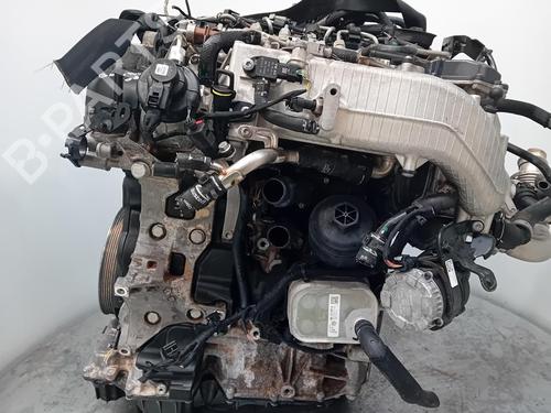 Motor AUDI A5 Sportback (F5A, F5F) 40 TDI | BP29904194M1