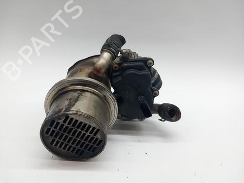 Egr VW BEETLE (5C1, 5C2)  | BP29532110M69 