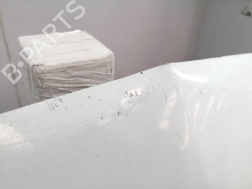 Hood RENAULT KANGOO (KC0/1_) 1.5 dCi | BP29303397C1 