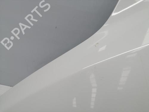 Left front fenders RENAULT MEGANE III Hatchback (BZ0/1_, B3_) | BP32311895C41