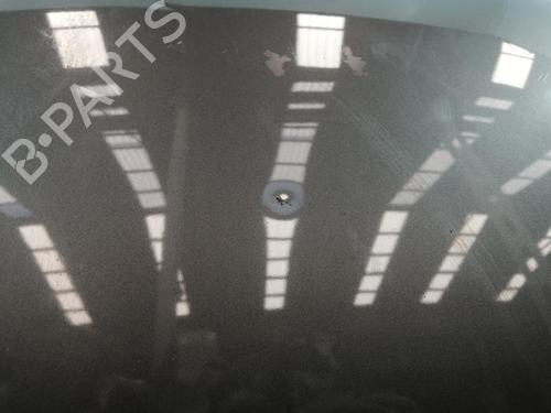 Hood VW GOLF V (1K1)  | BP29589543C1 
