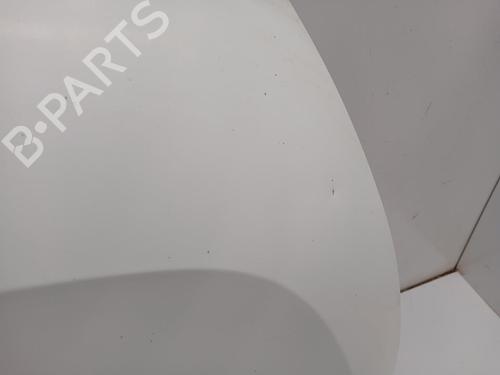 Hood RENAULT MASTER III Van (FV)  | BP29589533C1 