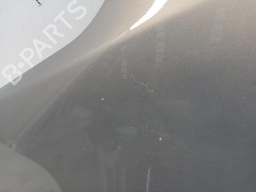 Left front fenders OPEL MERIVA B MPV (S10)  | BP29418569C41 