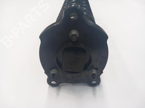 Left rear shock absorber TESLA MODEL S (5YJS)  | BP19119132M18 