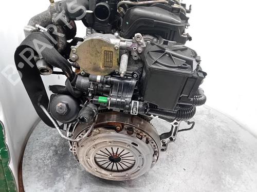 Engine FORD FOCUS II (DA_, HCP, DP)  | BP33327379M1  - Image 6