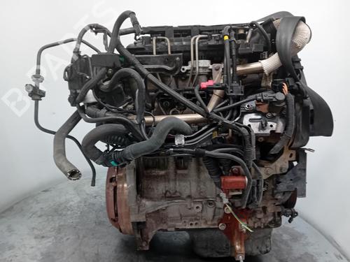 Engine FORD FIESTA VI (CB1, CCN) 1.6 TDCi | BP29904238M1 