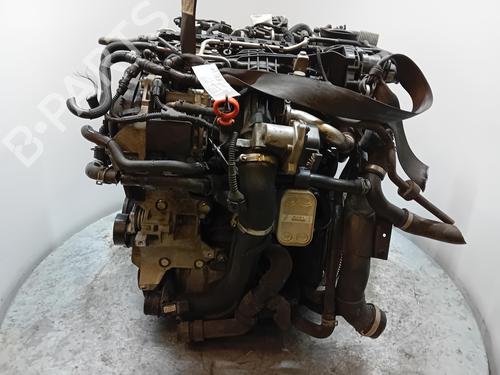 Engine SEAT ALTEA XL (5P5, 5P8)  | BP28213153M1 