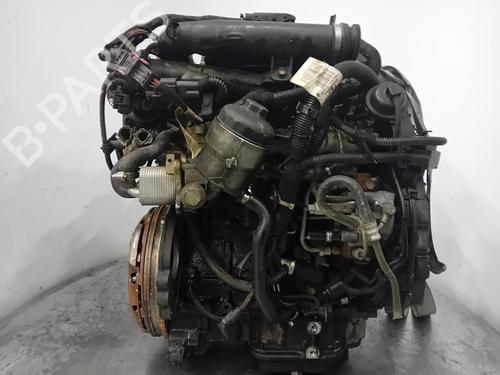 Engine OPEL CORSA C (X01) 1.7 CDTI (F08, F68) | BP36641876M1 - Image 5
