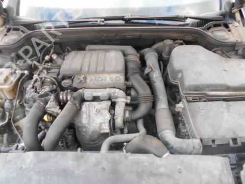  - Image 7