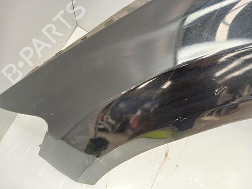 Left front fenders FORD MONDEO IV (BA7) 2.0 TDCi | BP28670231C41 