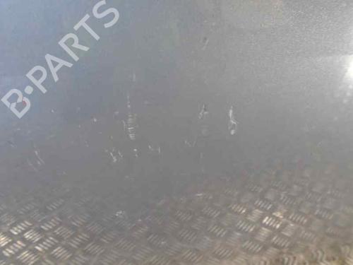 Right front door FIAT GRANDE PUNTO (199_) 1.3 D Multijet (199.AXD11, 199.AXD1A, 199.AXD1B,... | BP6977941C3