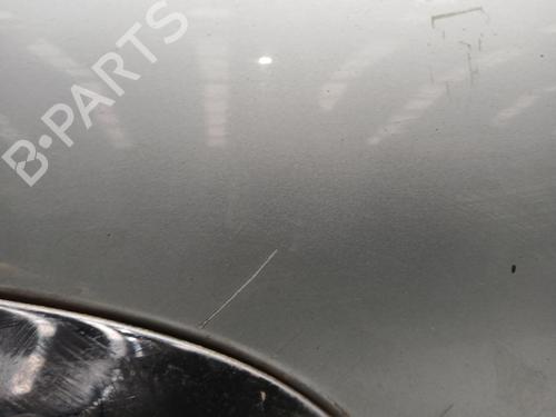 Tailgate MINI MINI (R50, R53)  | BP23891023C6 