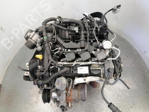 Motor FORD C-MAX II (DXA/CB7, DXA/CEU) 1.0 EcoBoost (125 hp) 24653439