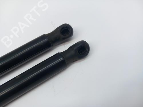 Tailgate lift support AUDI A1 Sportback (GBA) 25 TFSI | BP29546889C138 