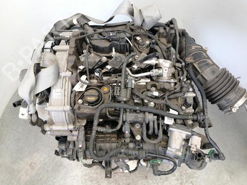 Motor für FORD FOCUS IV (HN) [2018-2025]  29546835