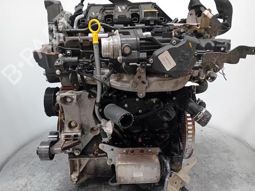 Engine NISSAN QASHQAI II (J11, J11_) 1.6 dCi | BP29904193M1