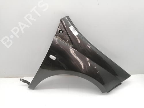 Used Right front fenders FIAT BRAVO II (198_) 1.6 D Multijet (198AXH1B) (105 hp) 24822558