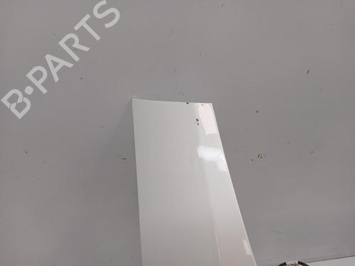 Tailgate TESLA MODEL 3 (5YJ3)  | BP29807317C6 
