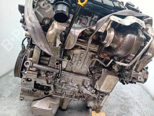 Engine FORD TRANSIT COURIER V769 Box Body/MPV (N3P) | BP36677669M1 - Image 3
