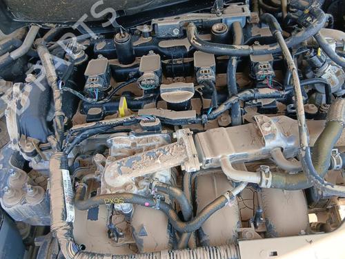 - Image 5