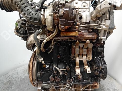 Engine NISSAN X-TRAIL II (T31)  | BP28210076M1 