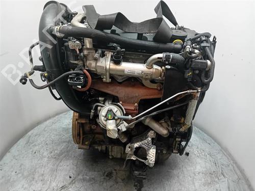 Engine CITROËN C5 III (RD_) 2.0 HDi (RDRHD8, RDRHDJ, RDRHR8, RDRHRJ) | BP30274795M1 - Image 4