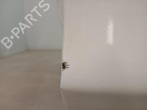 Left rear door TESLA MODEL 3 (5YJ3)  | BP29546901C4 
