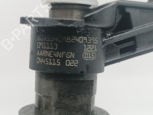 Injector RENAULT ESPACE IV (JK0/1_)  | BP28794608M100 