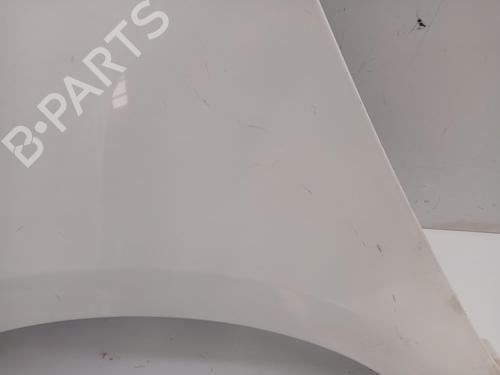 Left front fenders RENAULT SCÉNIC III (JZ0/1_)  | BP28042818C41 