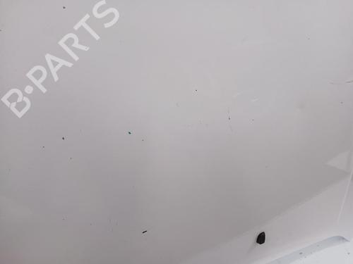 Hood FORD TRANSIT CONNECT MPV | BP30178579C1