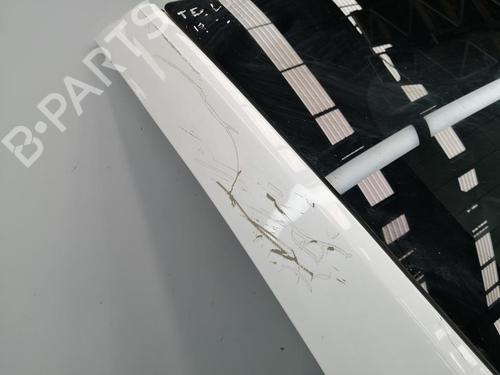 Tailgate TESLA MODEL Y (5YJY)  | BP30322817C6 