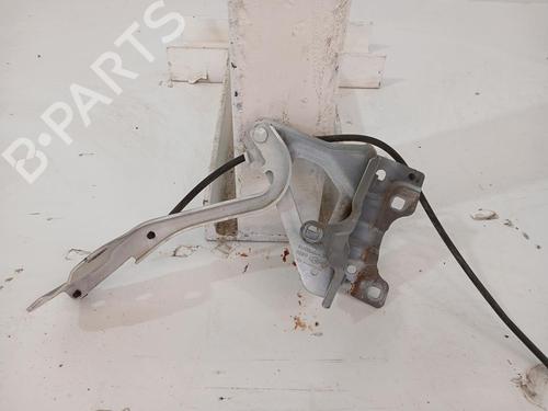 Hinge/Door check strap RENAULT CLIO V (B7_) 1.0 TCe 100 (B7MT) | BP37247253C146 - Image 3