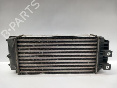 Intercooler DS DS 4 / DS 4 CROSSBACK (NX_) 1.2 THP 130 (NXHNYM) | BP17513170M30 