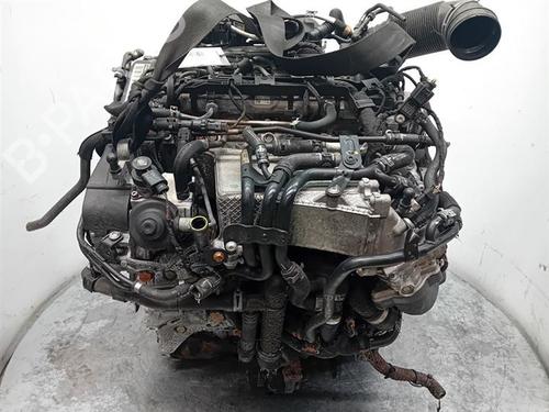 Engine VW TIGUAN (5N_) 2.0 TDI | BP36528642M1 - Image 2