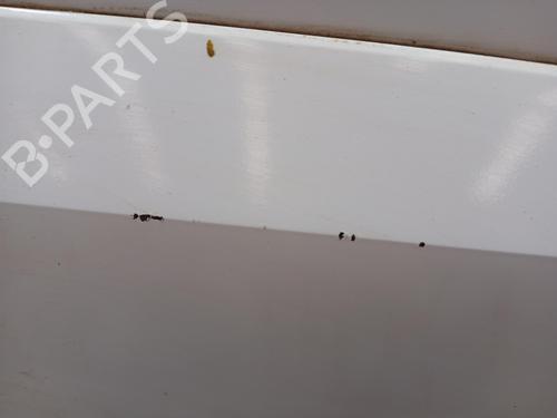 Left rear door RENAULT KOLEOS I (HY_)  | BP24866026C4 