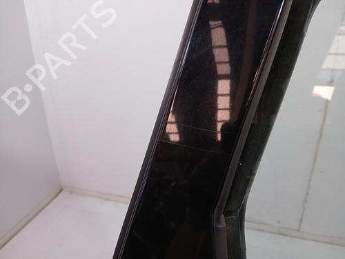 Right rear door RENAULT SCÉNIC III (JZ0/1_)  | BP29982423C5