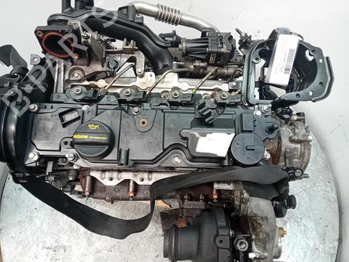 Used Engine Engine FORD FOCUS IV (HN) [2018-2026] 23072514 23072514