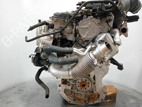 Motor AUDI A5 Sportback (F5A, F5F) 40 TDI | BP29904194M1