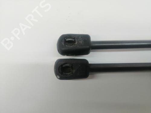 Tailgate lift support OPEL INSIGNIA A (G09)  | BP29813801C138