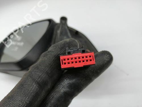 Left mirror LAND ROVER RANGE ROVER SPORT I (L320) 3.0 D 4x4 | BP30102324C26 