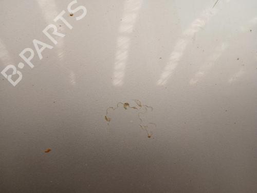Hood HYUNDAI ix20 (JC)  | BP29435179C1 
